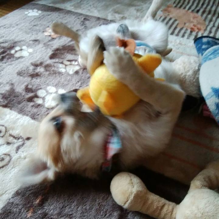 9a1a9767 75a1 4fb5 8560 8e11b88658ad 1511161914029