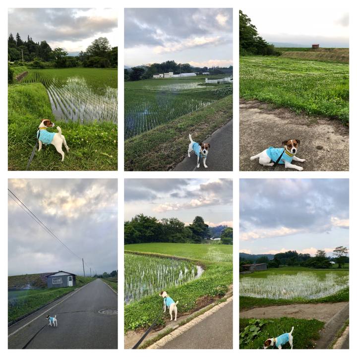 9a1ac422 8f31 4b9d 8e36 0c441be16af4 1529580392130