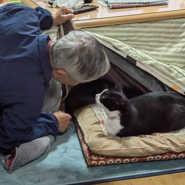 9a1ad73e 1717 4e01 bd51 6c0cfccd34a4 1735433253375