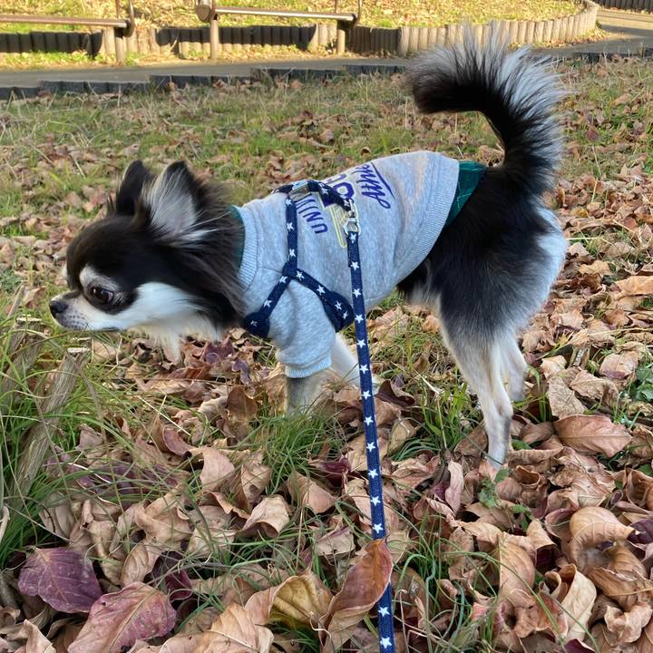 9a1adea1 b67f 407a baa8 1e8184ab8023 1640842064379