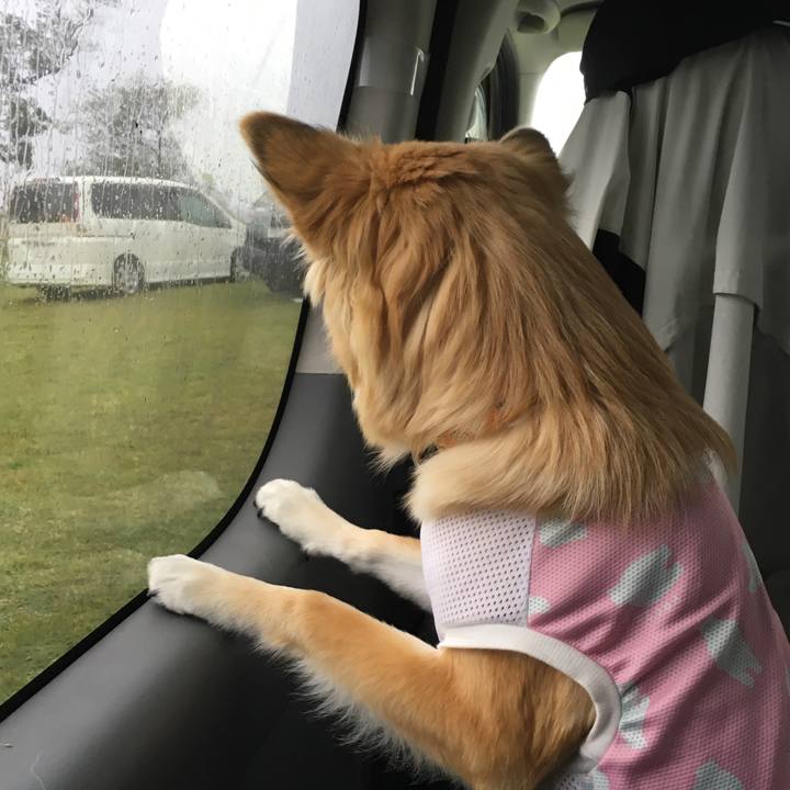 9a1aded9 9511 4ebc a634 34af50c662e9 1508638494822