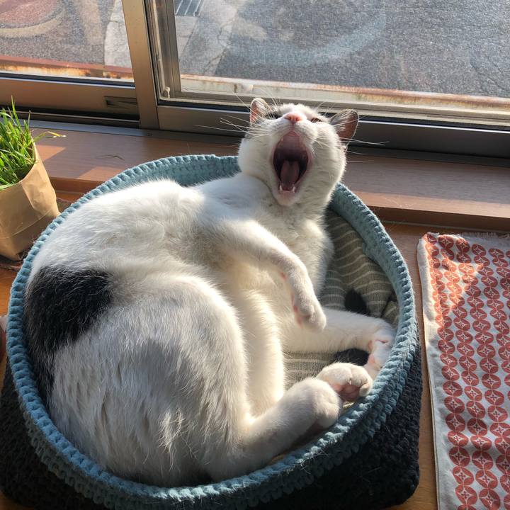 9a1af3f7 d729 4fa2 a270 15ddd12589c1 1714258520824