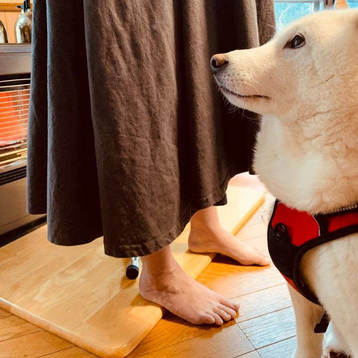 9a1afd3b f304 41e2 aa63 e77456ed2de9 1610842988588