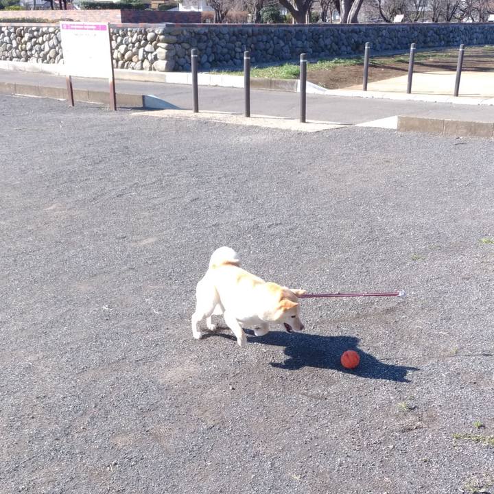 9a1b0e2b 3fa9 4511 b0d8 a47879a1b9ff 1552128437018