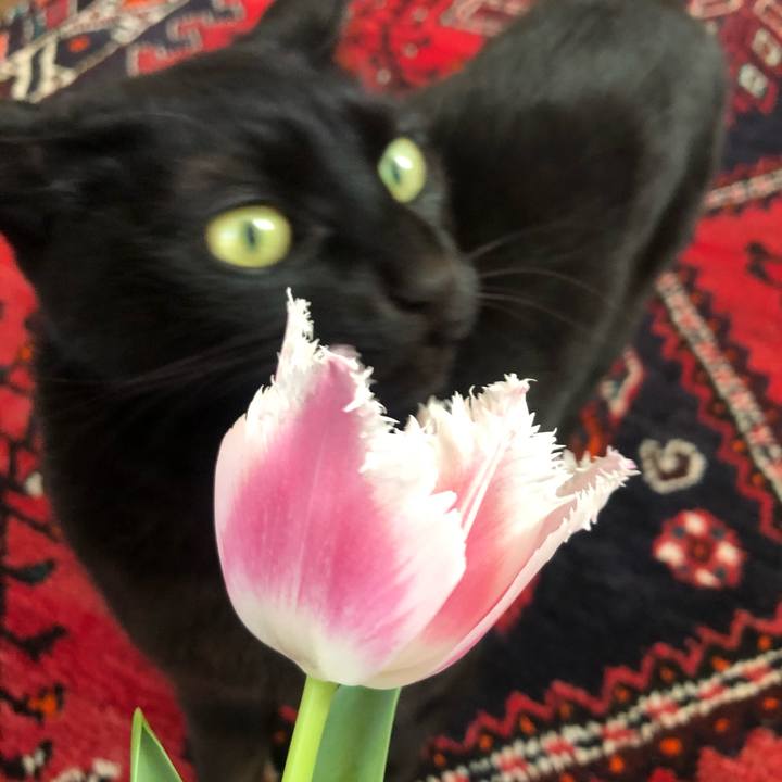 9a1b2910 a097 44b1 b7cb f3a3ccb3e7b2 1612830851689