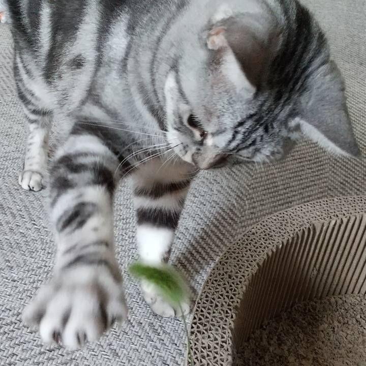 9a1b399d 546f 4615 8a56 189a5571e277 1630231075469