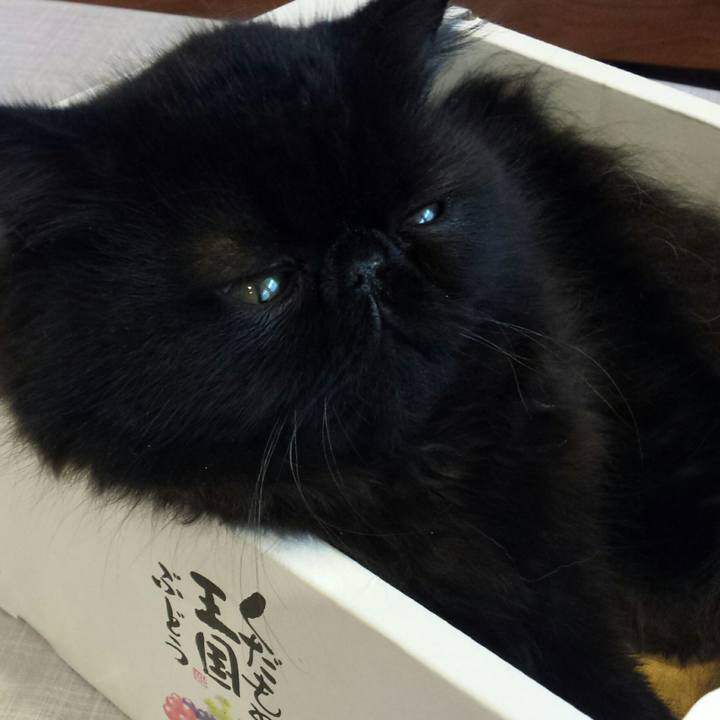 9a1b5f3a d399 4550 b5d7 19a2a8b79859 1507944676139