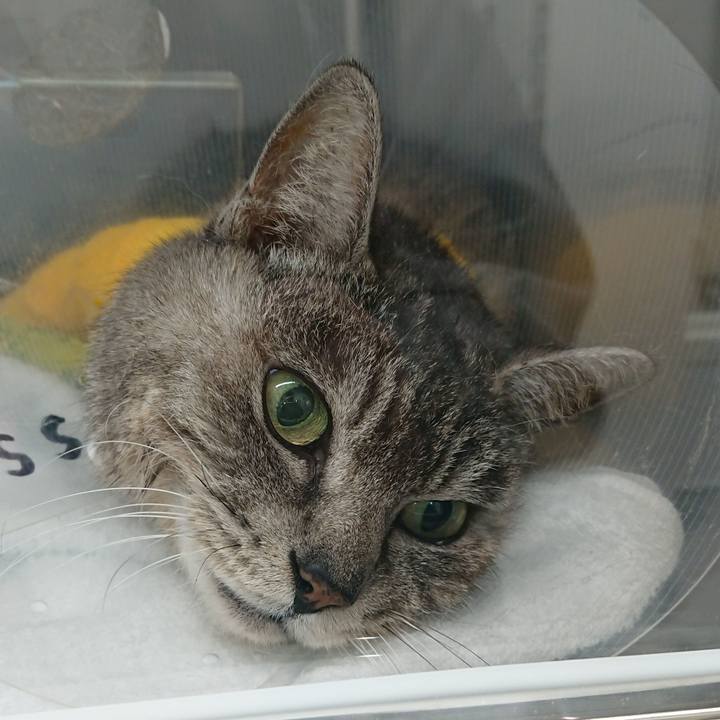 9a1b8347 21f1 48f3 b2af c2626551c2fa 1585817615407