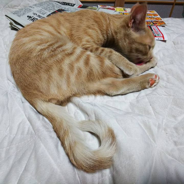 9a1bd5c7 38cc 4de3 889d 9e07910f4e37 1543738517647