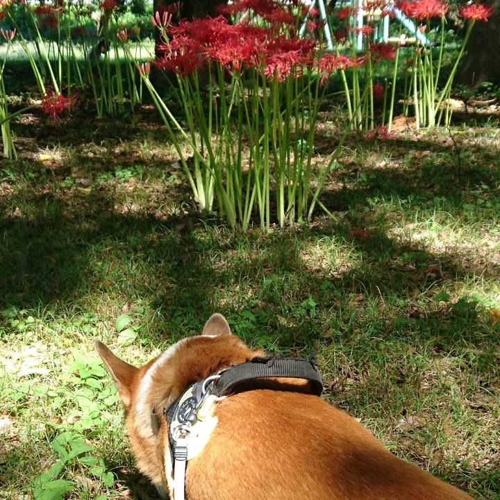 9a1c0862 bcb2 4fbc bd63 73383ef86359 1664073511119