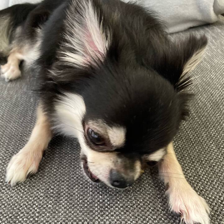 9a1c0f48 042f 41b3 a690 ebe9eeebeb5d 1628739819200