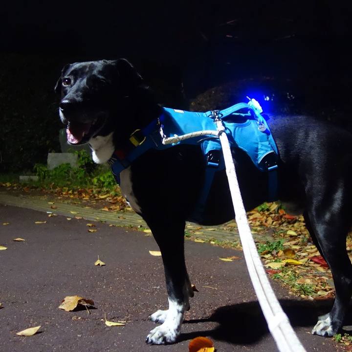 9a1c3562 b386 4ba3 9007 de0385bce0d0 1668337682686