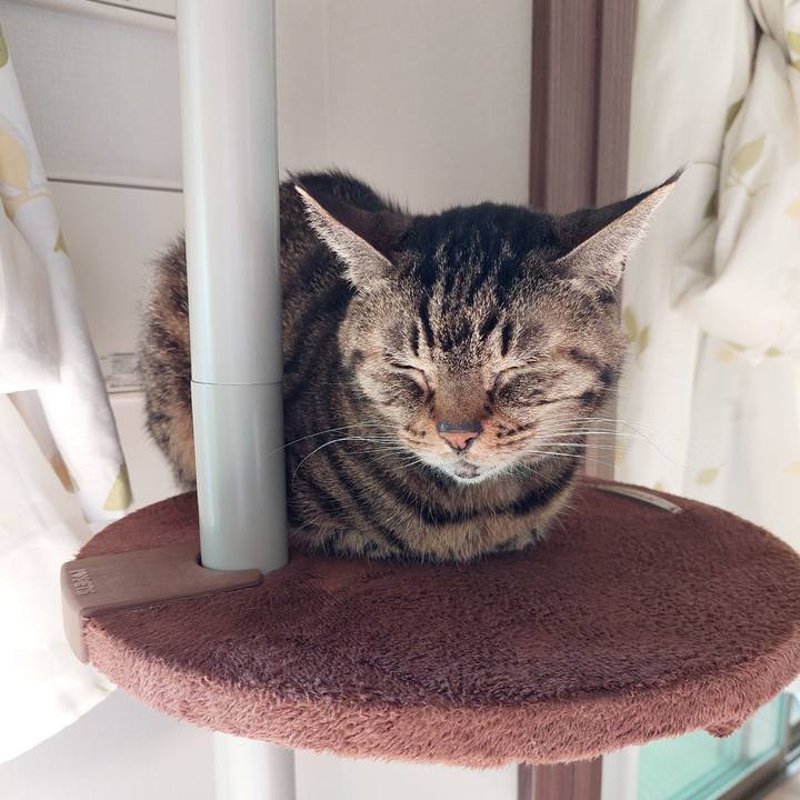 9a1c5467 0f6e 4bff 98c7 e8d5afb0d11b 1668817540512