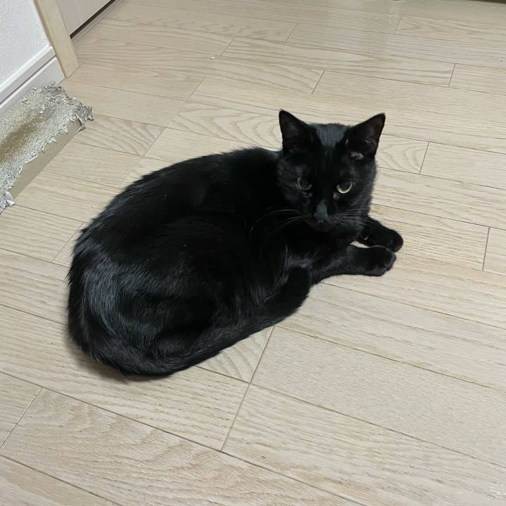 9a1c5c98 bf87 4431 8b3a 2320900001fd 1765799403791