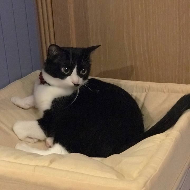 9a1c6c83 ed01 40cd 95f8 06fe7ffa800c 1561336120885