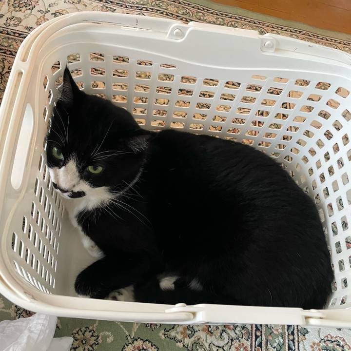 9a1c78ae 7928 4e9c aa70 3d2f71929e65 1723097681890