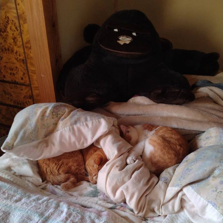 9a1c7fbc a957 44ce bab2 fe0e0311b6c4 1747087220618