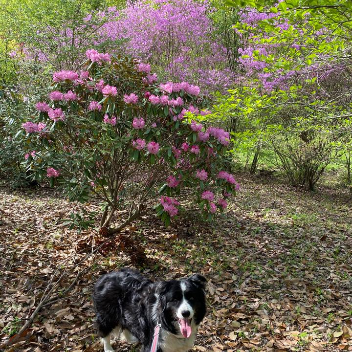 9a1cc332 7b1d 4198 978f 078debdebf4c 1681719171530