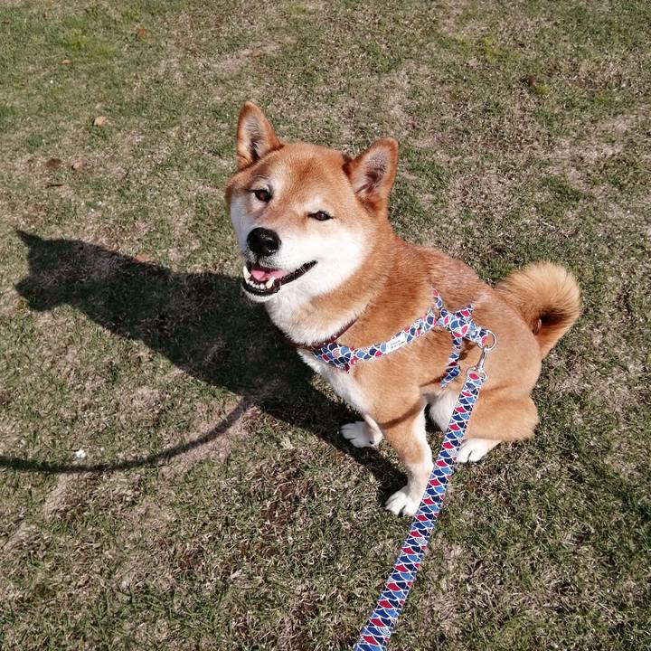 9a1cea4f cdba 4e07 8ea1 973112d4cd77 1618125903449