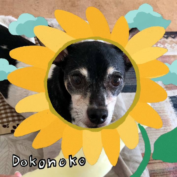 9a1d0150 be41 4c7e a59d d7900aa24d3d 1723175808125