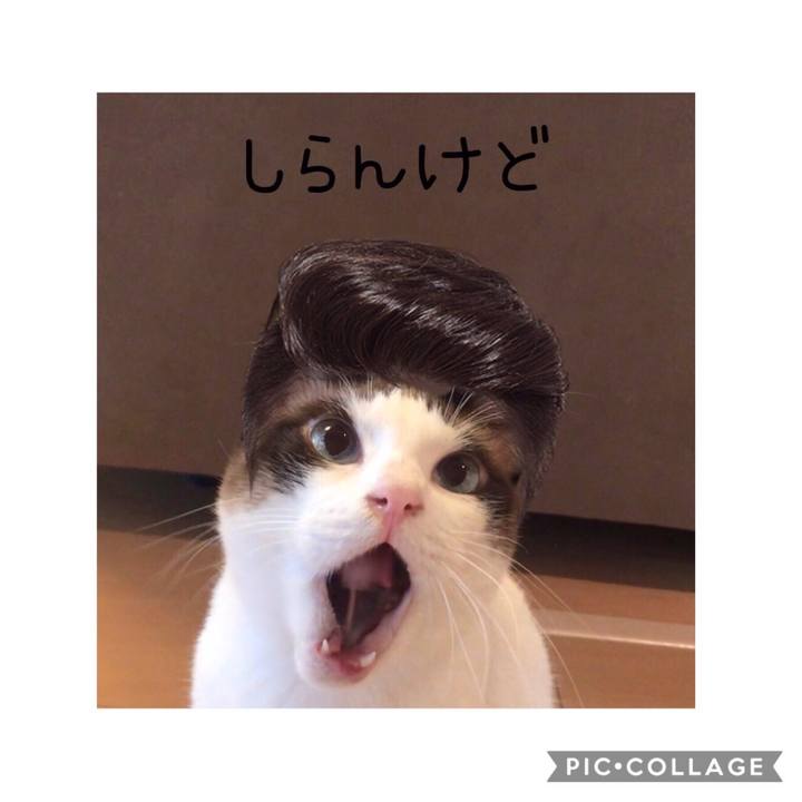 9a1d01e6 25a8 48d4 a539 f11fbf50e0cb 1566720137892