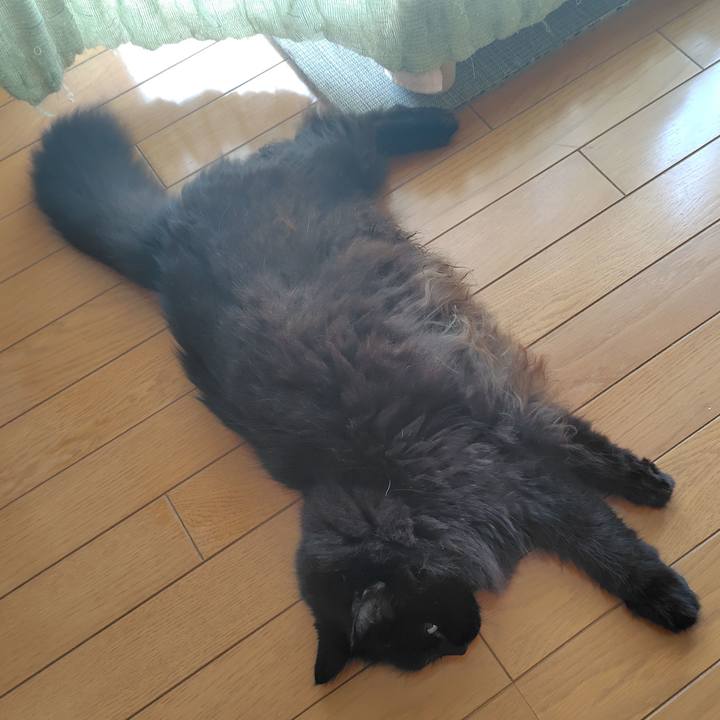 9a1d1cf5 41e3 4fd8 b9c8 259dafab5dc4 1752968873992