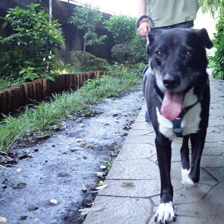 9a1d3900 221b 464b bfdf edadedefc9d6 1719016584682