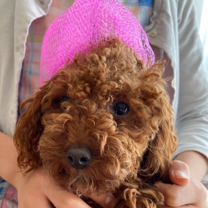 9a1d3aa9 ccc2 4fec 96f5 3b3a976430bf 1600906192905