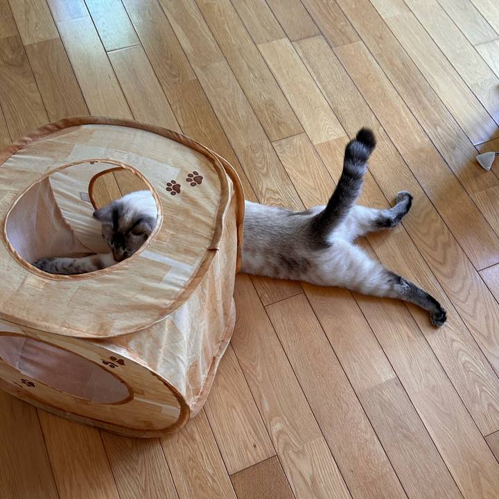 9a1d528b cb85 4e29 826f 335f4300aa0d 1748999571871