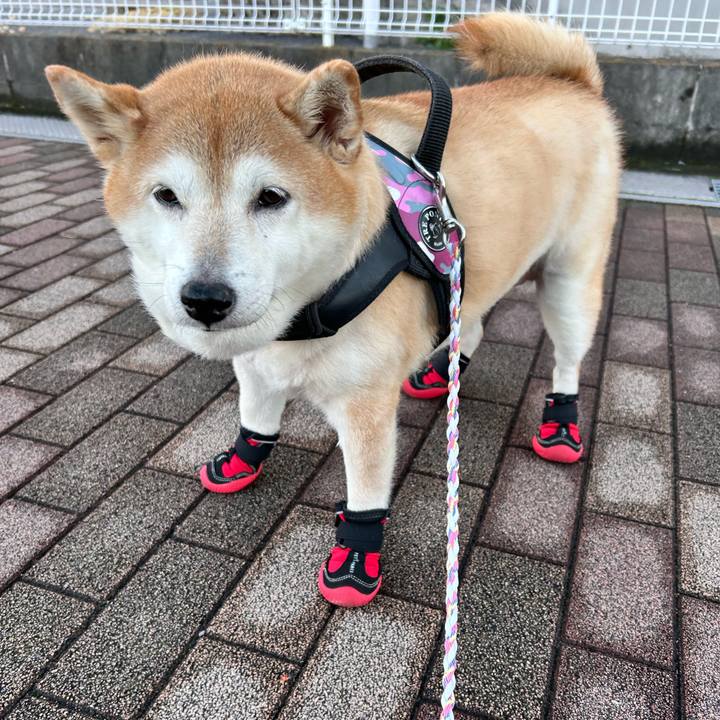 9a1d5e27 656d 4ba1 9b97 197887729884 1732692669087