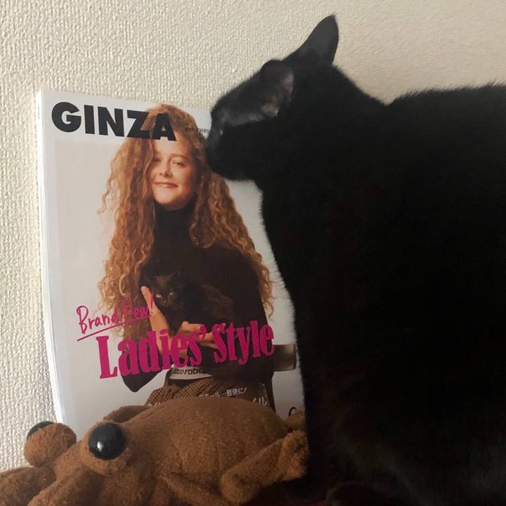 9a1d6a95 f11f 4700 95ac 46e4a8635a91 1552721942687