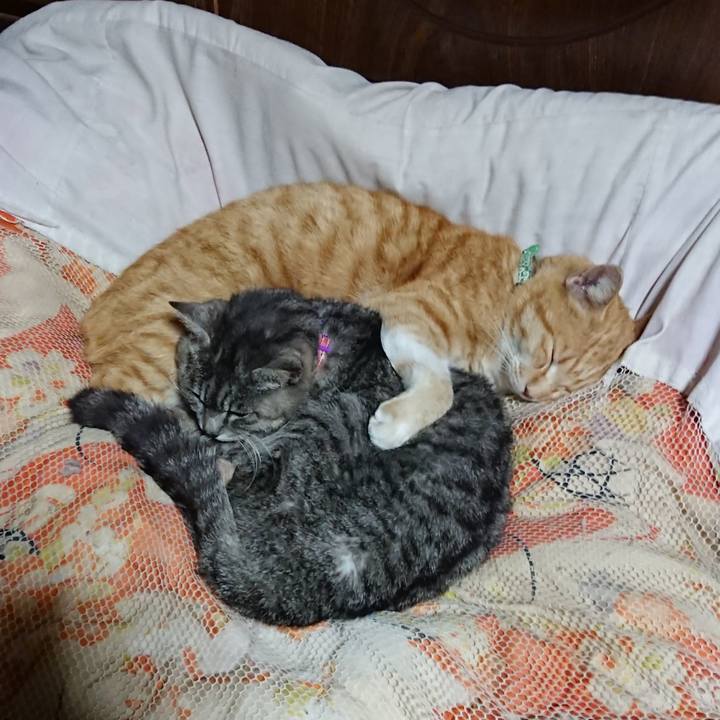 9a1ded08 9860 4714 8ea7 cff8adc2253a 1584968456894