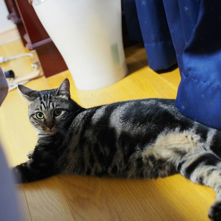 9a1e02c5 cf72 4655 9847 a0e4fd1bd216 1534892566558