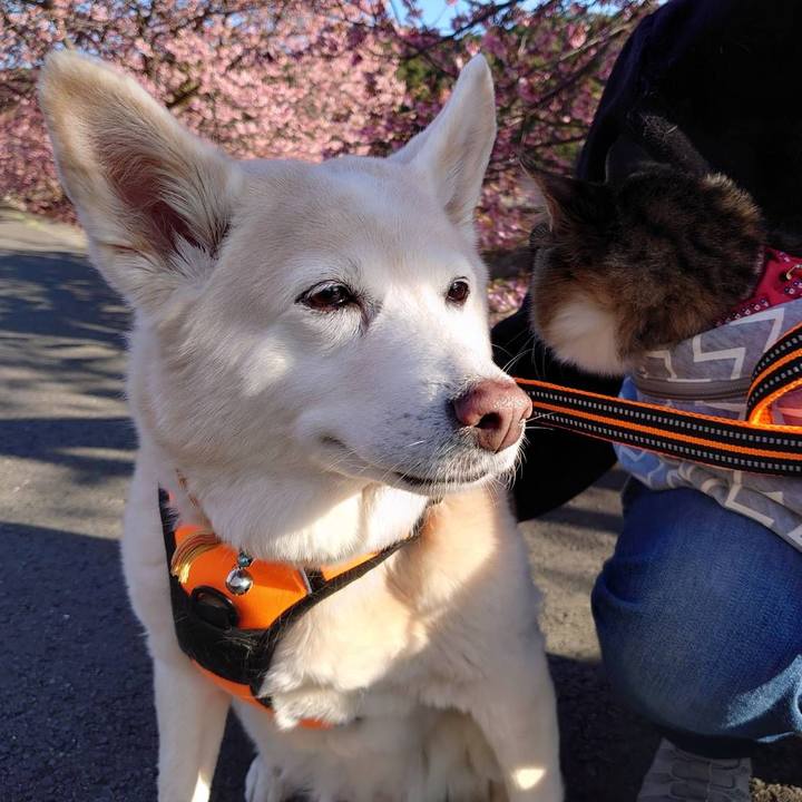 9a1e3f83 1ea3 4779 8b74 3980583ff751 1708258160042