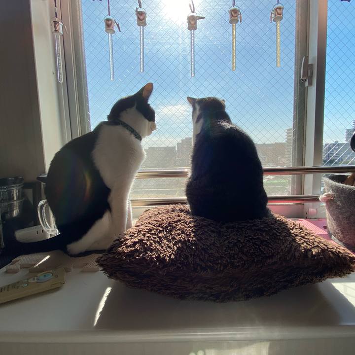 9a1e5bfd 0cae 499d b6b9 fdf08509d779 1765003946497