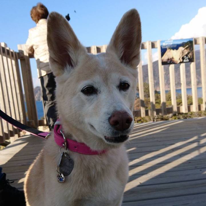 9a1e6659 cad2 4c60 a758 cd212e20adab 1550449402844