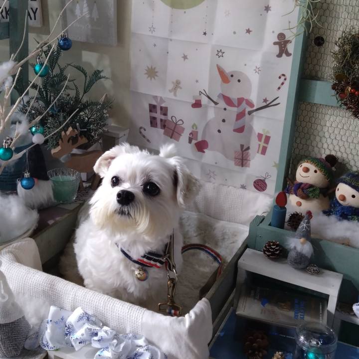 9a1eadff 8bbb 4fbc 90cd 089aa64dccf6 1703379904779