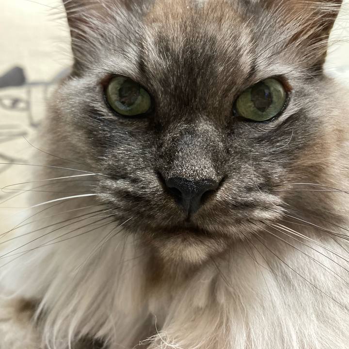 9a1eda46 e374 427d b174 1324d4ca3575 1707573055825