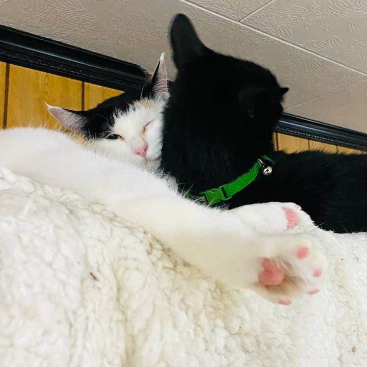 9a1eef32 9605 4e08 972f 54a99dbcd24a 1681132832261