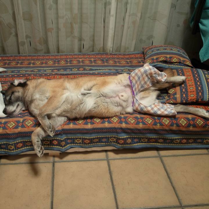 9a1ef800 370b 4637 85c7 a9063dddaa67 1586652256162