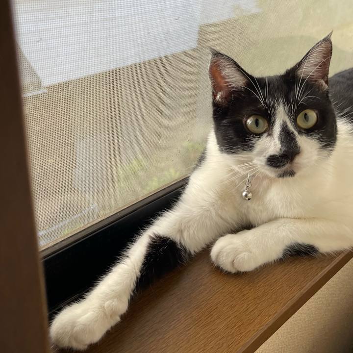 9a1f0866 b626 48a0 9606 e29e2929490b 1756767591267