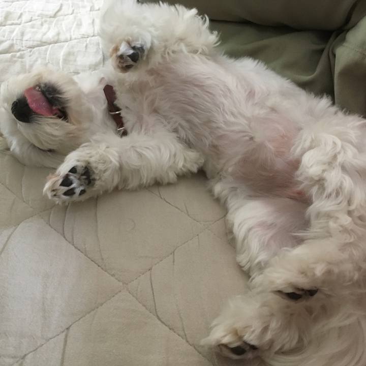 9a1f21ea be10 4c8d aee4 9be5e79baee0 1598118904213