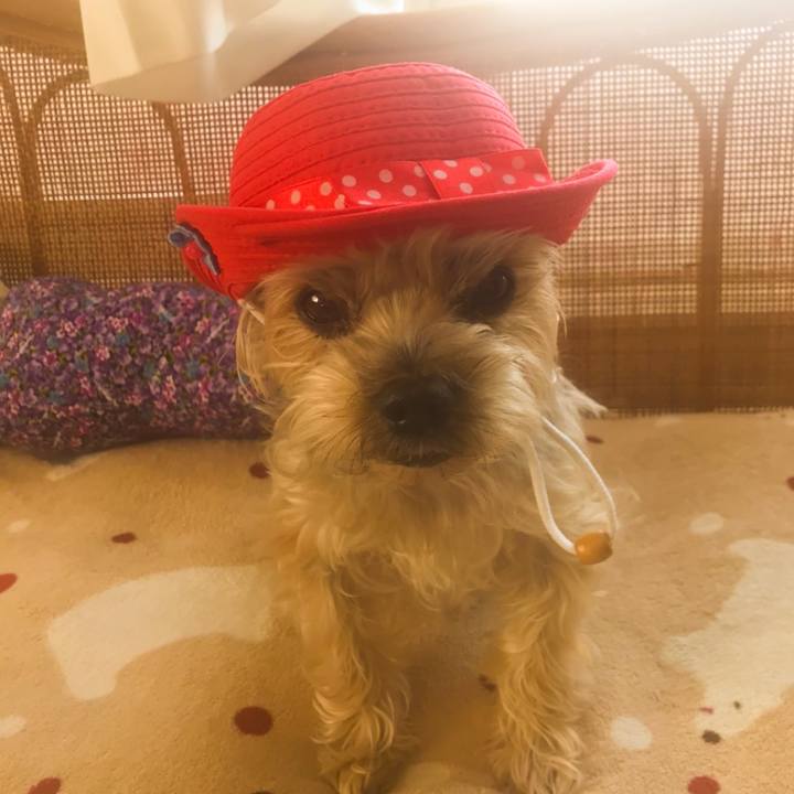 9a1f3c24 e5a3 4271 8241 5072fa56d577 1582963583769