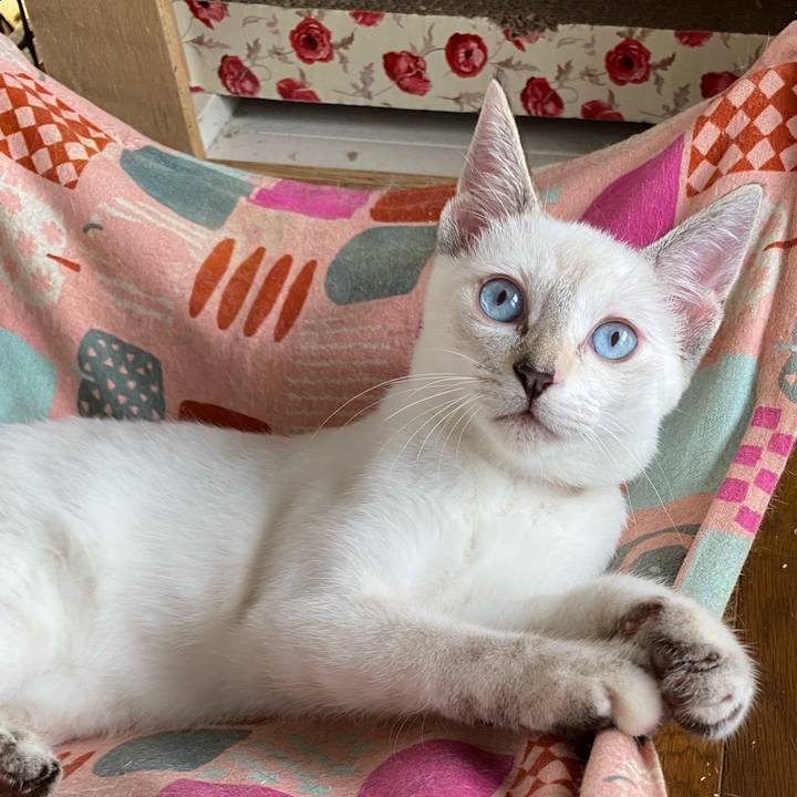 9a1f537e 76ef 4ff1 bbc1 745039af677b 1629681558100