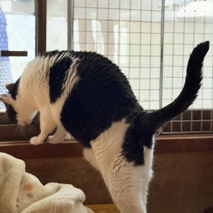 9a1f925e fffe 4182 b074 90a7beeb79d7 1746409927362