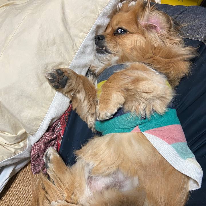 9a1fb85f 9607 40d0 bfbf ac6ba9dfc8ec 1646775675908