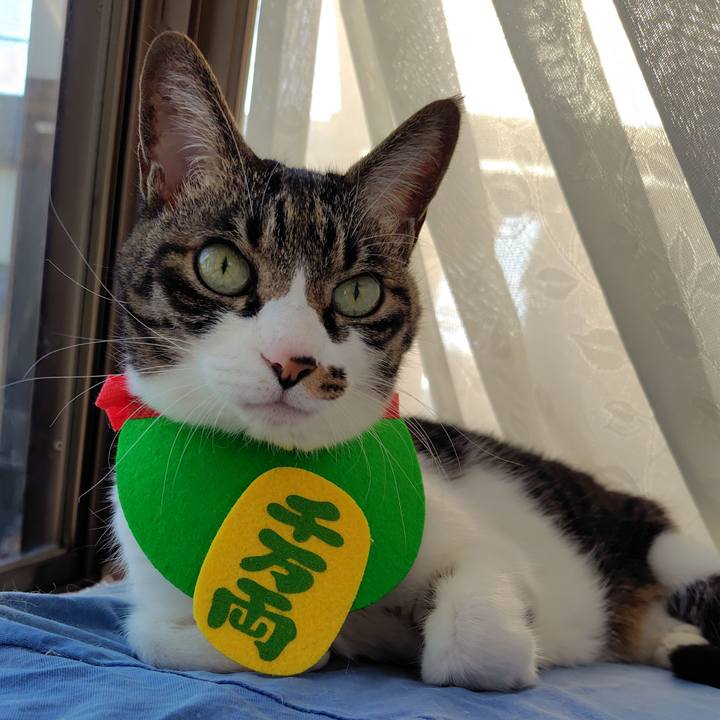 9a1fbbea 9b55 4424 8cec 9edb4e0092d1 1767076561658