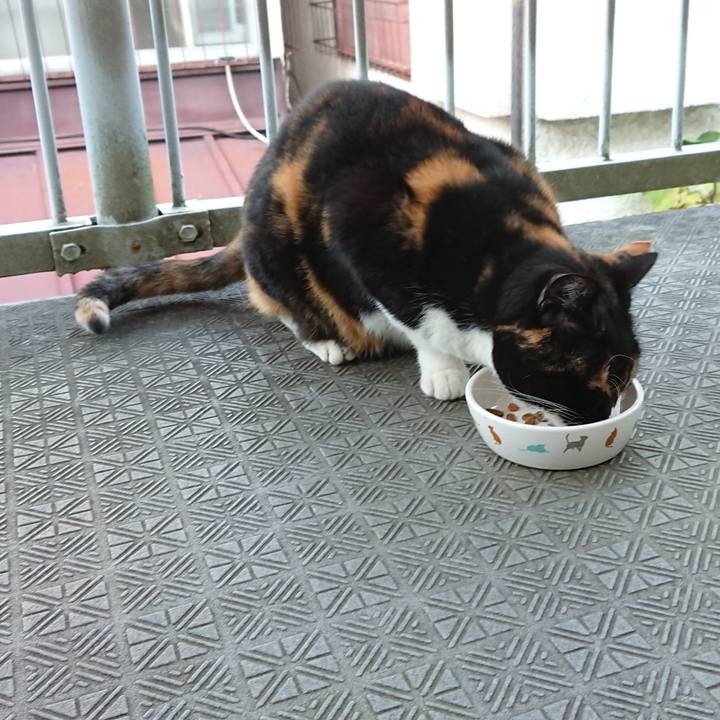 9a1ff5d4 9912 48b0 90f3 ae18807723b8 1639290915591