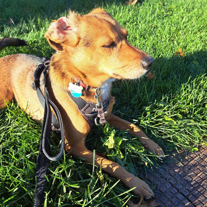 9a1ffadb 9471 4e40 a4f4 3c4a0263f50f 1763298426153