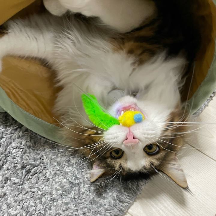 9a20024d be73 459a b9b0 45af6f39d5b9 1644239877964